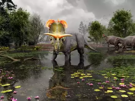 Der Dinosaurier mit seinen auffälligen Hörnern soll vor 78 Millionen Jahren durch Nordamerika gestreift sein. - Foto: Fabrizio Lavezzi/Evolutionsmusee/Colorado State University/dpa