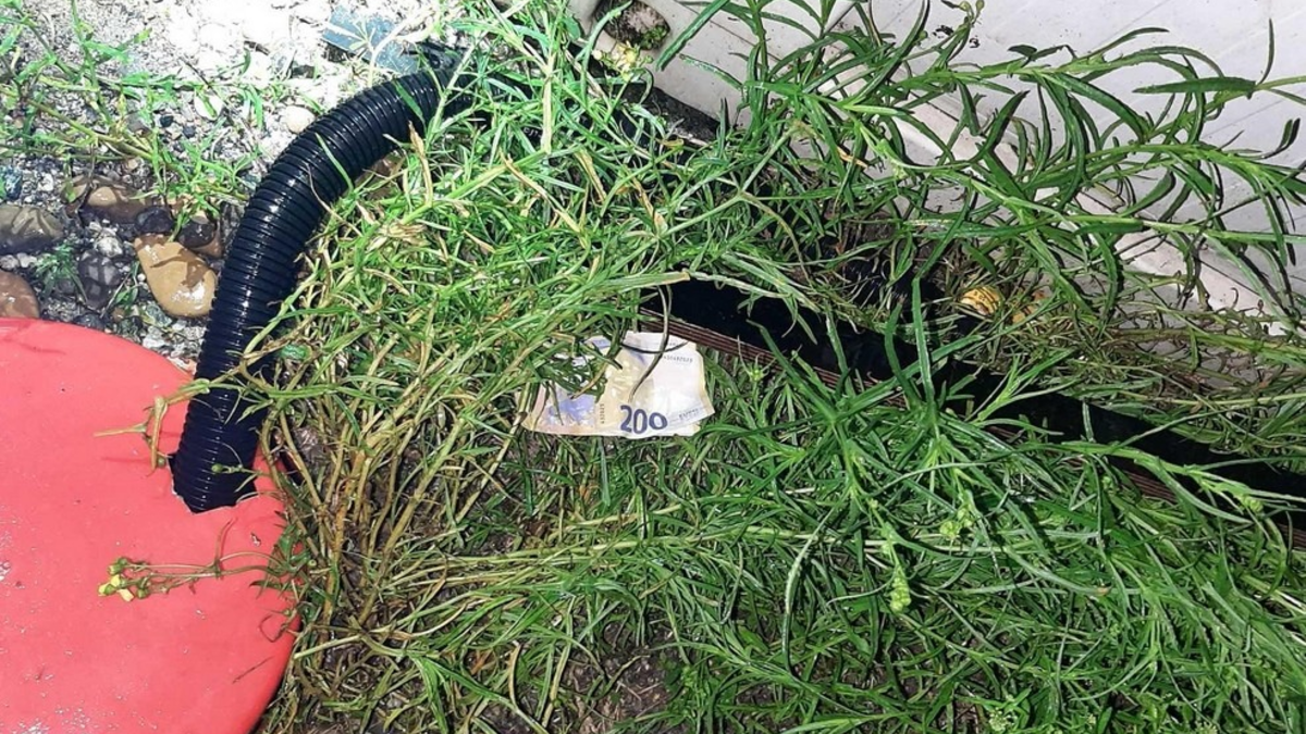 Bundespolizeidirektion München: Schleuser hinterlässt Geldscheine statt Erbrochenem/ Bundespolizei stoppt überbesetztes Schleuserfahrzeug - Foto: presseportal.de