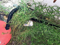 Bundespolizeidirektion MĂŒnchen: Schleuser hinterlĂ€sst Geldscheine statt Erbrochenem/ Bundespolizei stoppt ĂŒberbesetztes Schleuserfahrzeug - Foto: presseportal.de