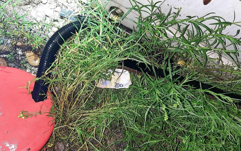 Bundespolizeidirektion München: Schleuser hinterlässt Geldscheine statt Erbrochenem/ Bundespolizei stoppt überbesetztes Schleuserfahrzeug - Foto: presseportal.de