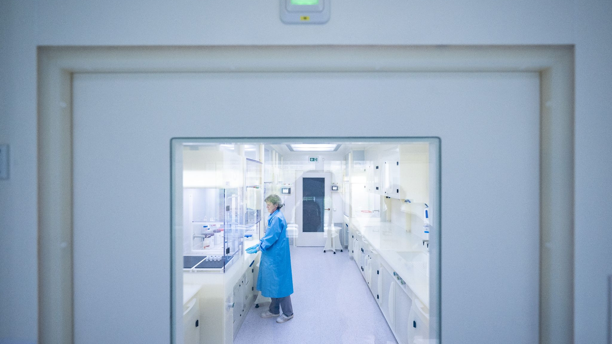 Forschende aus allen Fachrichtungen sind von Anfeindungen betroffen. - Foto: Hendrik Schmidt/dpa