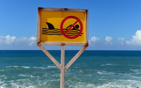 Auf Hawaii ist ein bekannter Surfer von einem Hai getötet worden. - Foto: Maurizio Gambarini/dpa/dpa-tmn