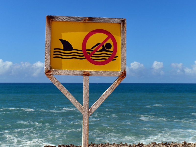 Auf Hawaii ist ein bekannter Surfer von einem Hai getötet worden. - Foto: Maurizio Gambarini/dpa/dpa-tmn