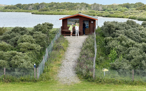 Im Vogelschutzgebiet SĂŒdstrandpolder auf Norderney hat eine Wildtierkamera einen Wolf fotografiert. - Foto: Volker Bartels/dpa Im Vogelschutzgebiet SĂŒdstrandpolder auf Norderney hat eine Wildtierkamera einen Wolf fotografiert. - Foto: Volker Bartels/dpa