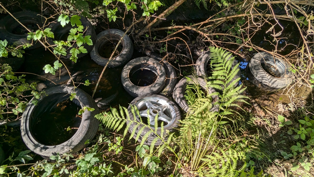 POL-OG: Offenburg - Zeugen nach illegaler Müllentsorgung gesucht - Foto: presseportal.de