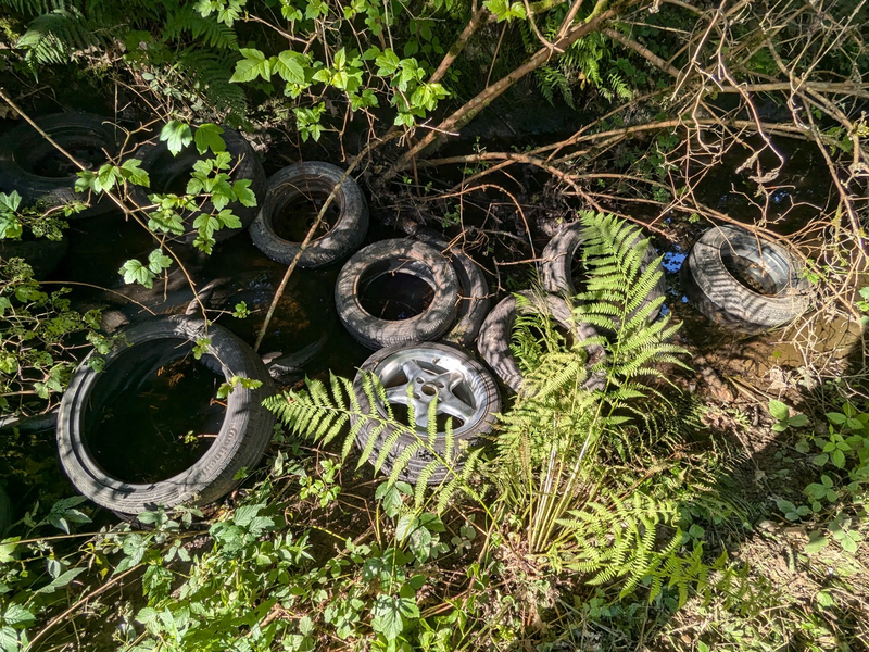 POL-OG: Offenburg - Zeugen nach illegaler Müllentsorgung gesucht - Foto: presseportal.de