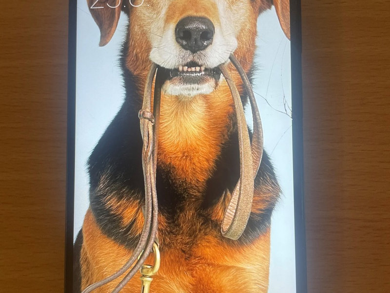 POL-WL: Mutmaßlich gestohlene Smartphones sichergestellt - Polizei sucht Eigentümer - Foto: presseportal.de