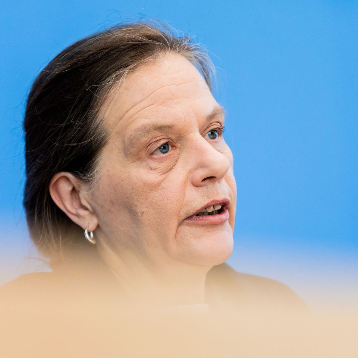 Ruth Brand, die Präsidentin des Statistischen Bundesamtes, gibt die Ergebnisse des Zensus 2022 bekannt. - Foto: Christoph Soeder/dpa