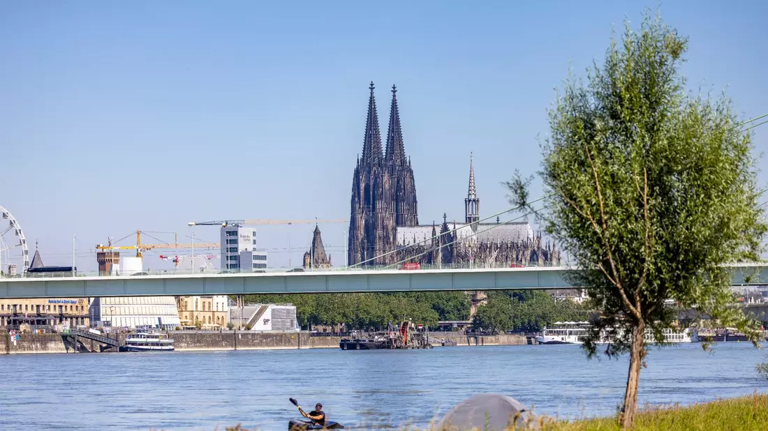 Ein Kajakfahrer rudert auf dem Rhein, im Hintergrund ist der Kölner Dom und die Severinbrücke zu sehen. - Bild: Thomas Banneyer/dpa