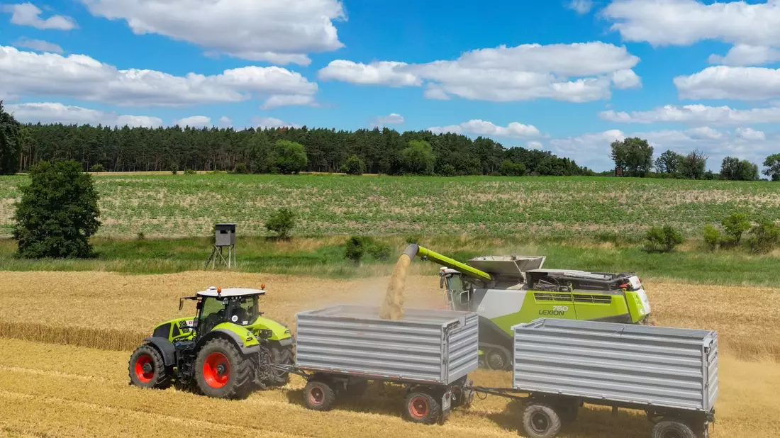 Die Koalition hatte angekündigt, bis zum Sommer Maßnahmen zur Entlastung von Landwirten zu beschließen. - Bild: Patrick Pleul/dpa