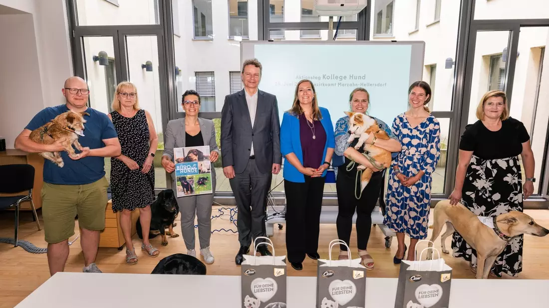 Kollege Hund: Bezirksamt Marzahn-Hellersdorf als Blaupause / Bürohunde: Was im Bezirksamt Marzahn-Hellersdorf schon ist, kann im Bundestag noch werden - Bild: presseportal.de