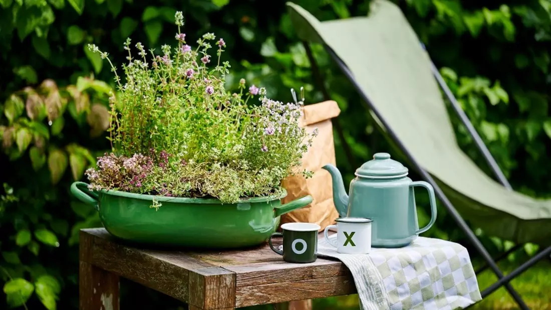 Outdoor-Pflanzen für trockene Sommertage / Tipps für die heiße Jahreszeit - Bild: presseportal.de