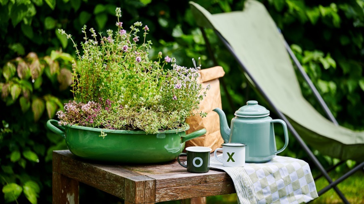 Outdoor-Pflanzen für trockene Sommertage / Tipps für die heiße Jahreszeit - Foto: presseportal.de