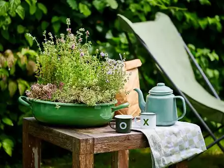 Outdoor-Pflanzen für trockene Sommertage / Tipps für die heiße Jahreszeit - Foto: presseportal.de