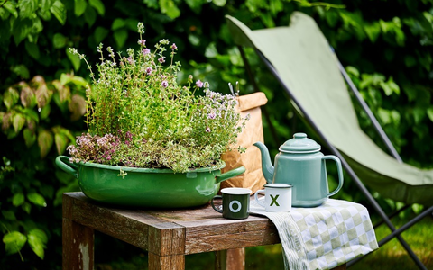 Outdoor-Pflanzen für trockene Sommertage / Tipps für die heiße Jahreszeit - Foto: presseportal.de