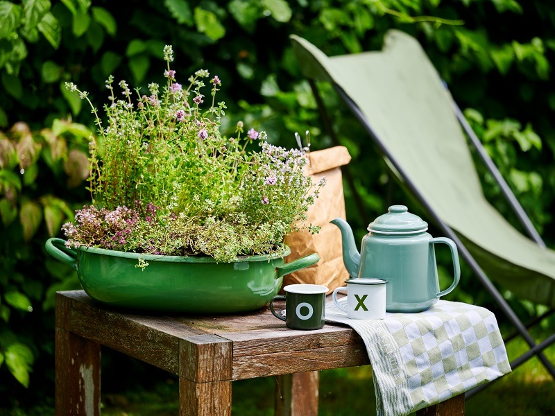 Outdoor-Pflanzen für trockene Sommertage / Tipps für die heiße Jahreszeit - Foto: presseportal.de
