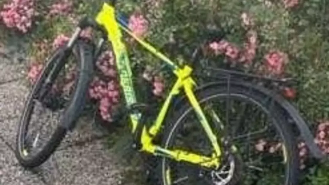 POL-EL: Salzbergen - Eigentümer/in gesucht - Bild: presseportal.de