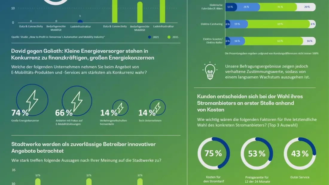Vollgas oder Reißleine: Die E-Mobilitäts-Entscheidung der kommunalen Energieversorger - Bild: presseportal.de