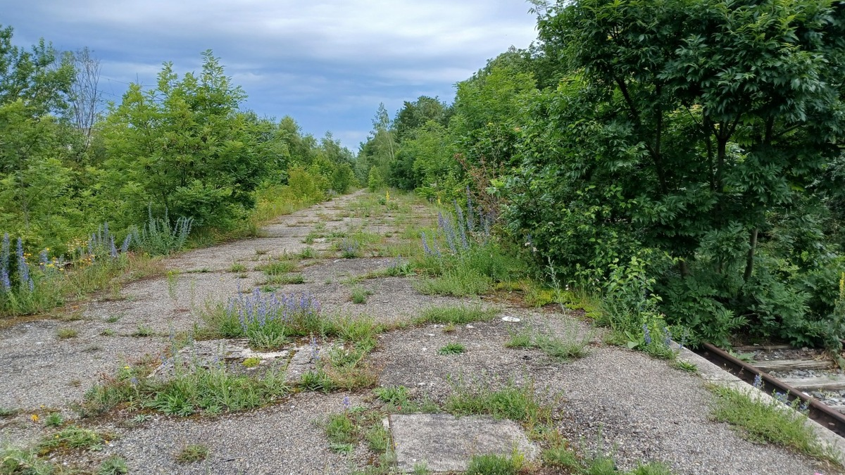 AFRY übernimmt umfangreiche Planungsarbeiten für Münchner Nordring - Foto: presseportal.de