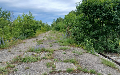 AFRY übernimmt umfangreiche Planungsarbeiten für Münchner Nordring - Foto: presseportal.de