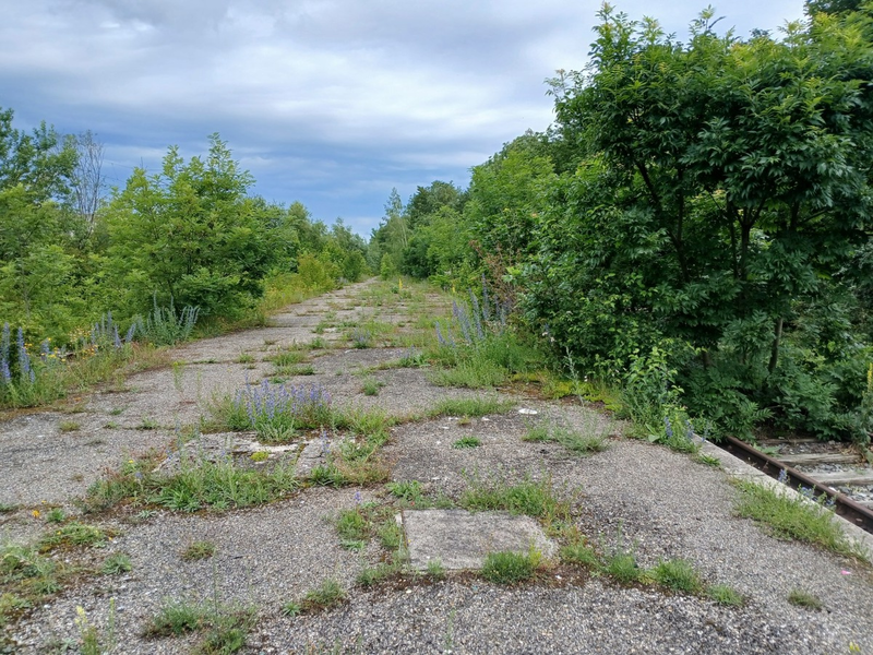 AFRY übernimmt umfangreiche Planungsarbeiten für Münchner Nordring - Foto: presseportal.de