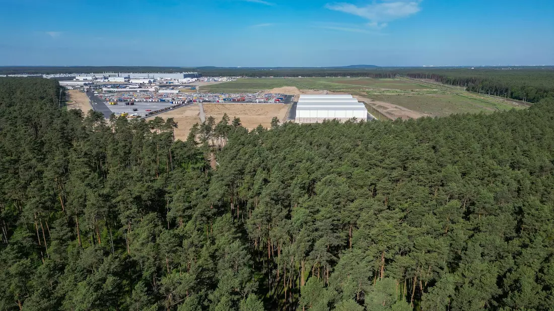 Dichter Wald steht am östlichen Teil des Werksgeländes der Tesla Gigafactory. - Bild: Soeren Stache/dpa