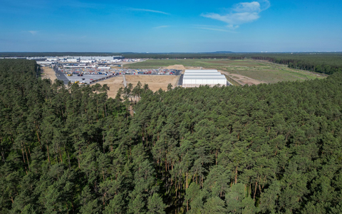 Dichter Wald steht am östlichen Teil des Werksgeländes der Tesla Gigafactory. - Foto: Soeren Stache/dpa
