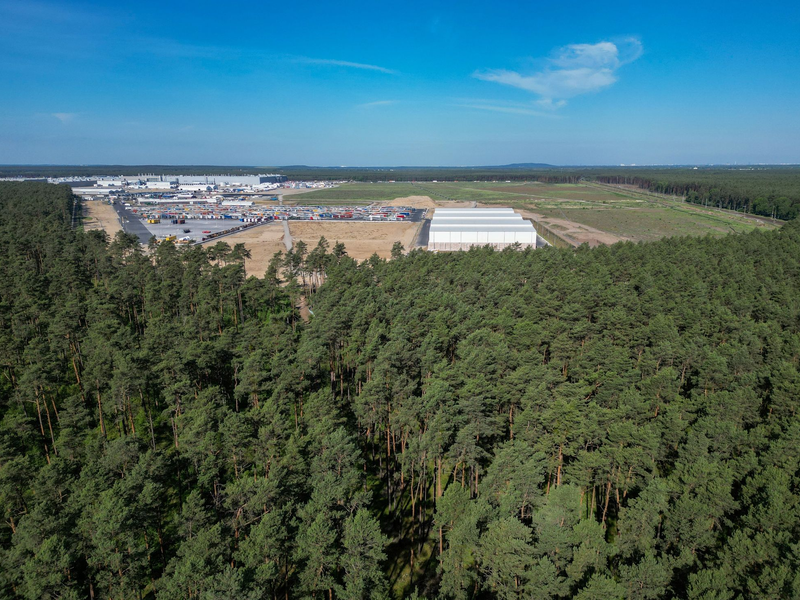 Dichter Wald steht am östlichen Teil des Werksgeländes der Tesla Gigafactory. - Foto: Soeren Stache/dpa