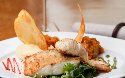 Was steckt hinter dem Massensterben in Lachs-Aquakulturen? - Foto: presseportal.de