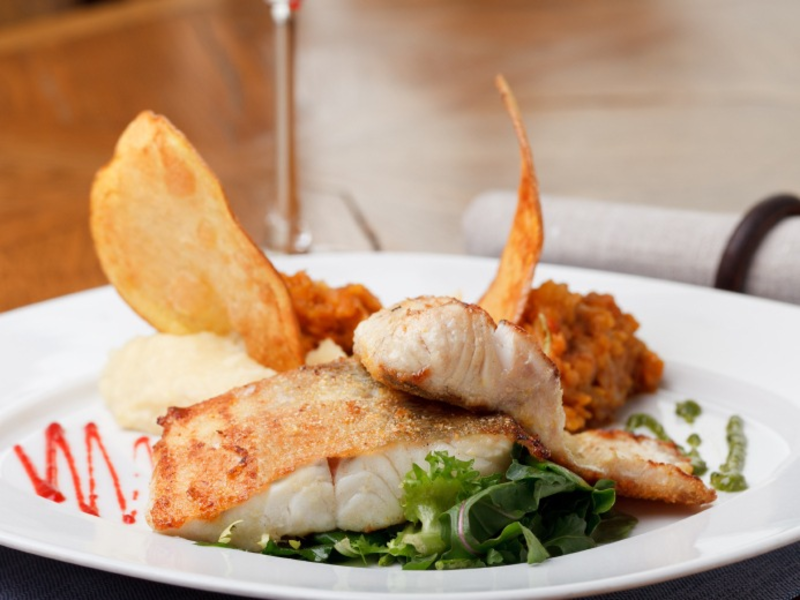 Was steckt hinter dem Massensterben in Lachs-Aquakulturen? - Foto: presseportal.de