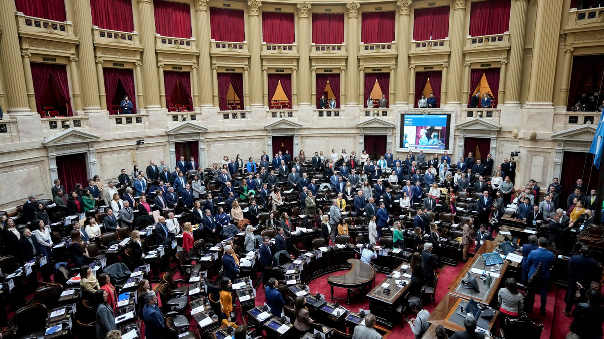 Rund zwölf Stunden debattierten die Abgeordneten des argentinischen Parlaments - und stimmten dann Mileis Reformpaket zu. - Foto: Natacha Pisarenko/AP/dpa