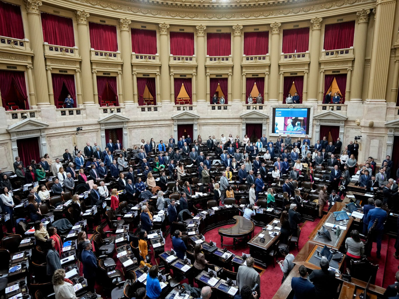 Rund zwölf Stunden debattierten die Abgeordneten des argentinischen Parlaments - und stimmten dann Mileis Reformpaket zu. - Foto: Natacha Pisarenko/AP/dpa