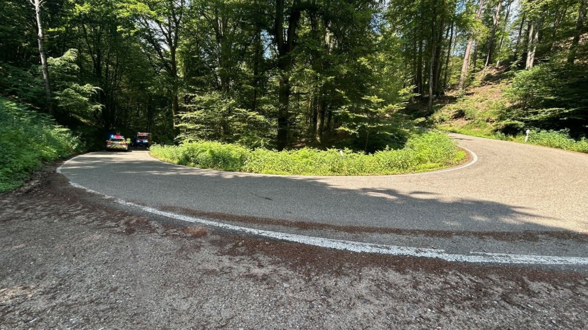 POL-PDLD: St. Martin - Motorradunfall auf der Totenkopfstraße - Foto: presseportal.de