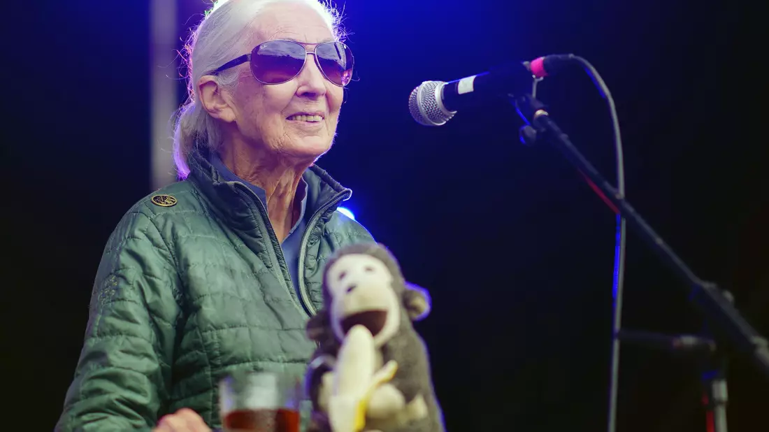 Jane Goodall auf der Greenpeace-Bühne beim Glastonbury Festival in Worthy Farm. - Bild: Ben Birchall/PA Wire/dpa