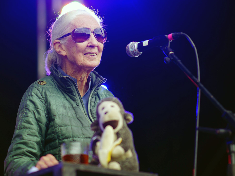 Jane Goodall auf der Greenpeace-Bühne beim Glastonbury Festival in Worthy Farm. - Foto: Ben Birchall/PA Wire/dpa