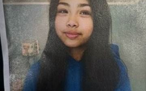 POL-HH: 240628-3. Vermisstenfahndung nach 11-jährigem Mädchen - Foto: presseportal.de