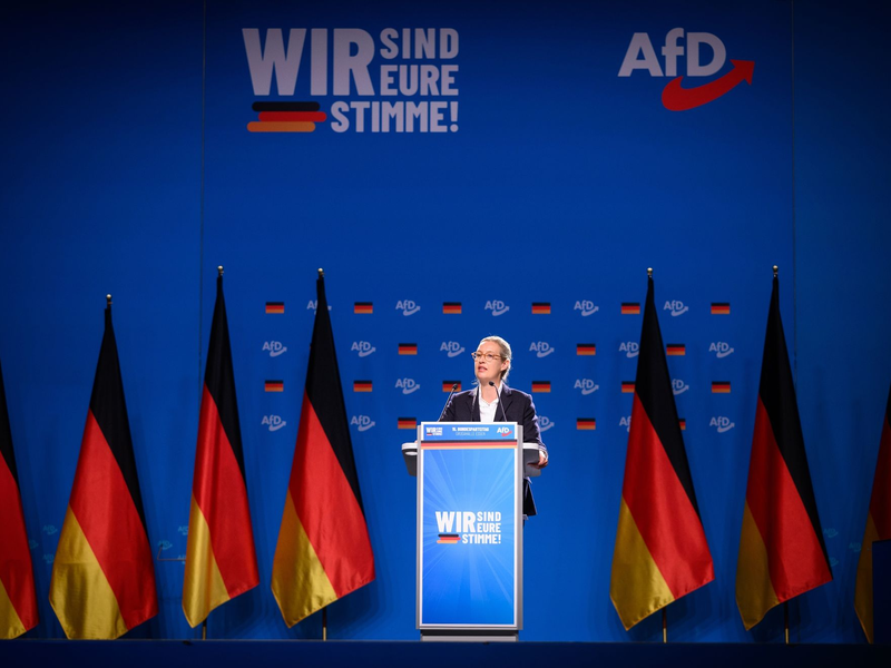 Alice Weidel soll einer Vorabsprache zufolge Kanzlerkandidatin der AfD werden (Archivbild) - Foto: Bernd von Jutrczenka/dpa