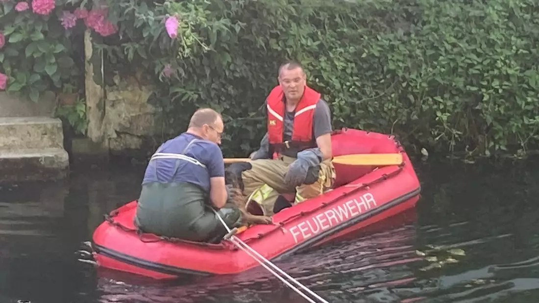 FW-KLE: Hund aus dem Kermisdahl gerettet - Bild: presseportal.de