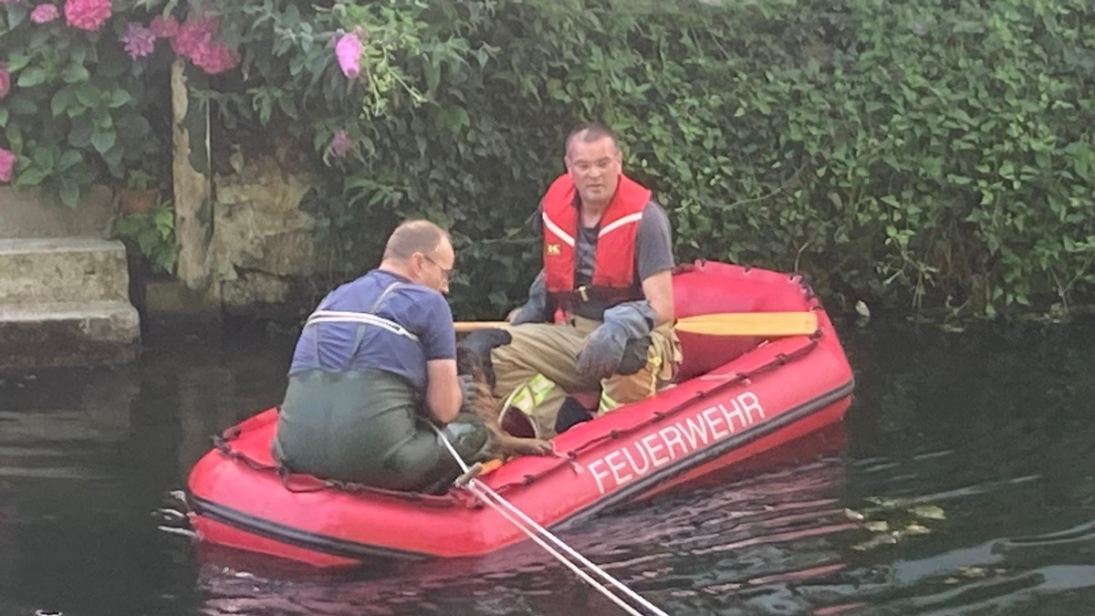 FW-KLE: Hund aus dem Kermisdahl gerettet - Foto: presseportal.de