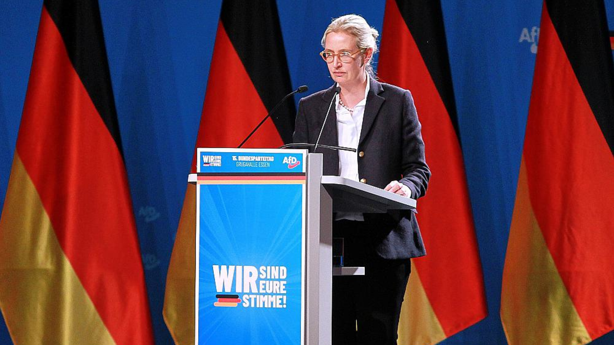 Alice Weidel beim AfD-Parteitag im Juni 2024 - Foto: über dts Nachrichtenagentur