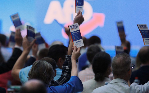 Abstimmung auf AfD-Parteitag am 30.06.2024 - Foto: über dts Nachrichtenagentur