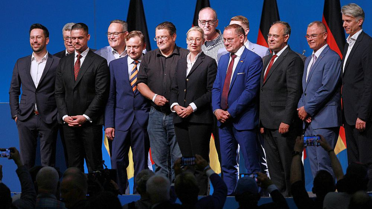 Der neue AfD-Bundesvorstand beim Bundesparteitag im Juni 2024 - Foto: über dts Nachrichtenagentur