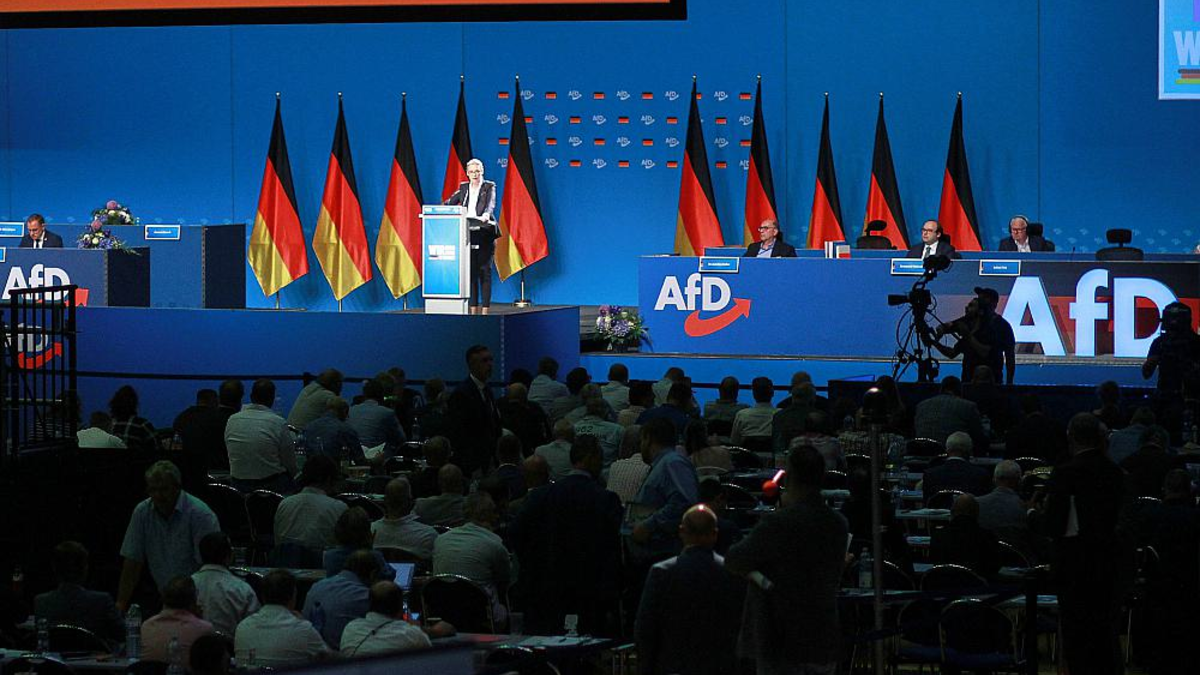 Alice Weidel spricht auf AfD-Parteitag am 30.06.2024 - Foto: über dts Nachrichtenagentur
