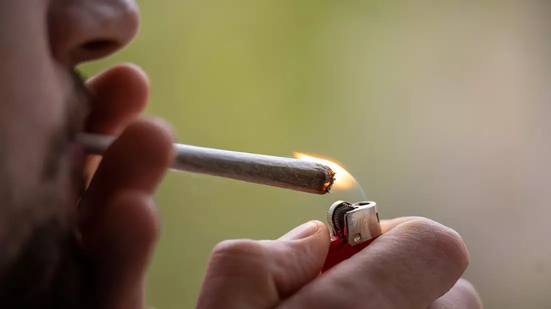 Bis zum ersten Joint aus Anbauvereinen dürfte es noch dauern. - Bild: Hannes P Albert/dpa