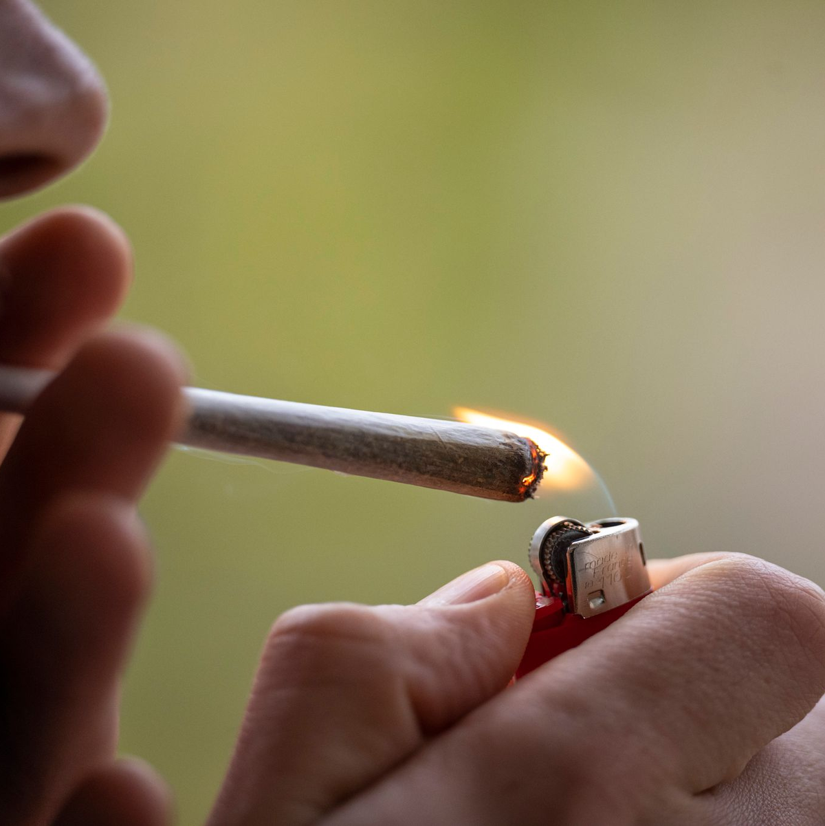 Bis zum ersten Joint aus Anbauvereinen dürfte es noch dauern. - Foto: Hannes P Albert/dpa