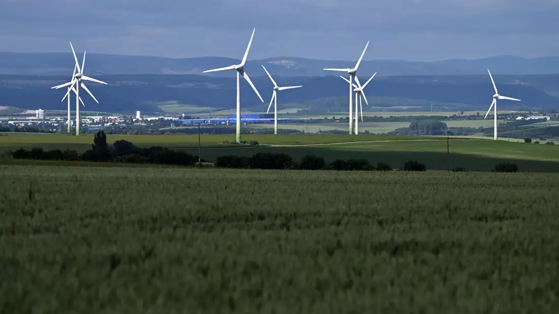 Die Stromerzeugung aus erneuerbaren Energien hat einen Rekord erreicht. - Bild: Martin Schutt/dpa