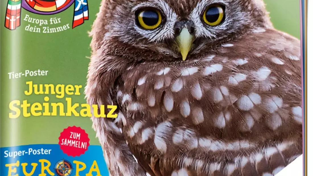 Buntes Europa für Kinder - Neues zweiteiliges medizini-Super-Poster zum Sammeln - Bild: presseportal.de