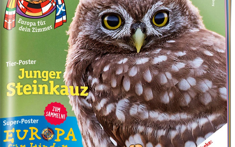 Buntes Europa für Kinder - Neues zweiteiliges medizini-Super-Poster zum Sammeln - Foto: presseportal.de