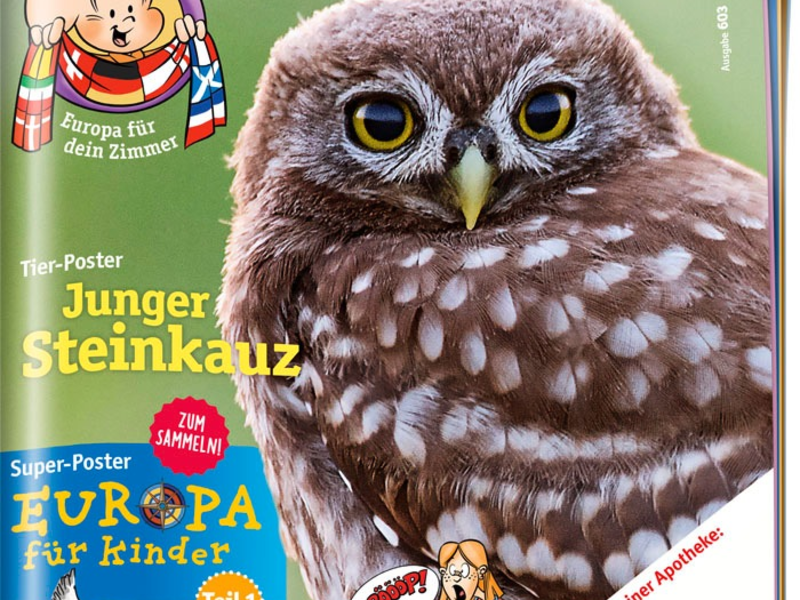 Buntes Europa für Kinder - Neues zweiteiliges medizini-Super-Poster zum Sammeln - Foto: presseportal.de