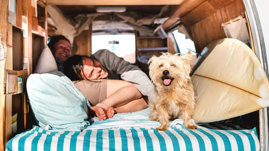 Mit dem Hund in den Urlaub: Achtung Leishmaniose! Drei Tipps zum Schutz vor der gefährlichen Reisekrankheit - Bild: presseportal.de